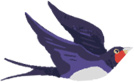 A bird flying